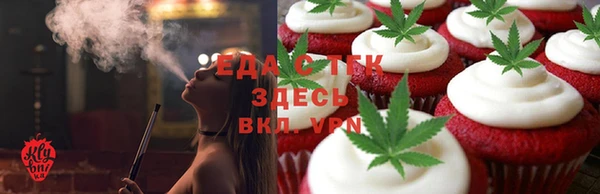 индика Алзамай