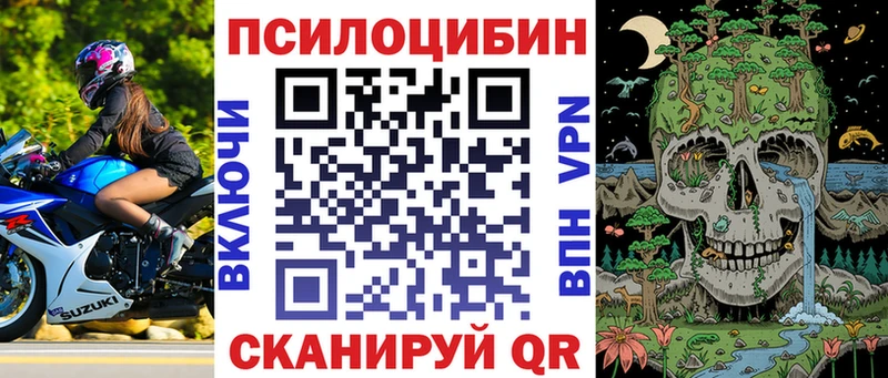 купить наркотик  Нальчик  Галлюциногенные грибы Psilocybine cubensis 